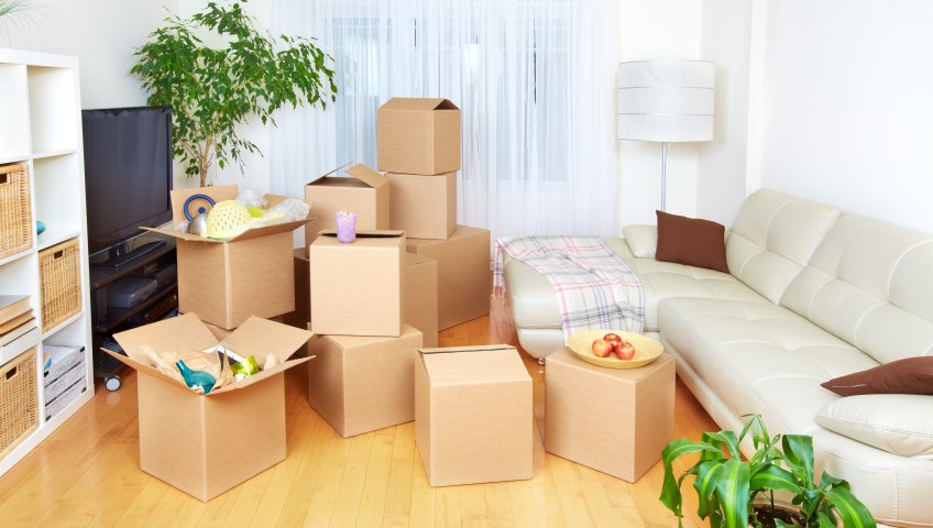 Packers And Movers in Noida Sector 7